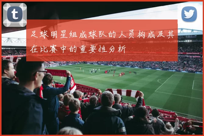 足球明星组成球队的人员构成及其在比赛中的重要性分析