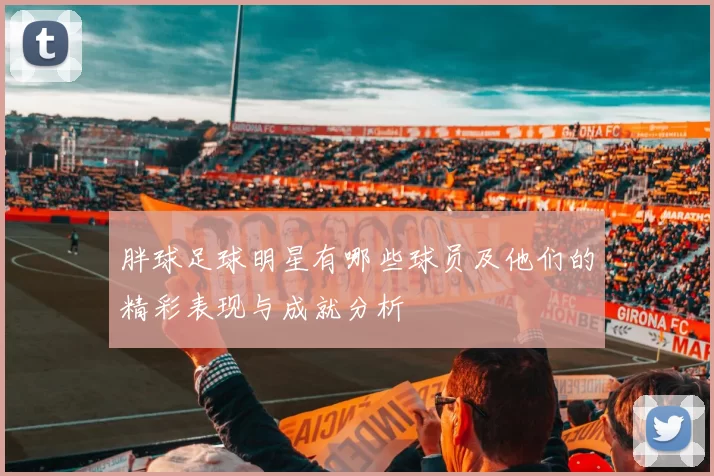 胖球足球明星有哪些球员及他们的精彩表现与成就分析